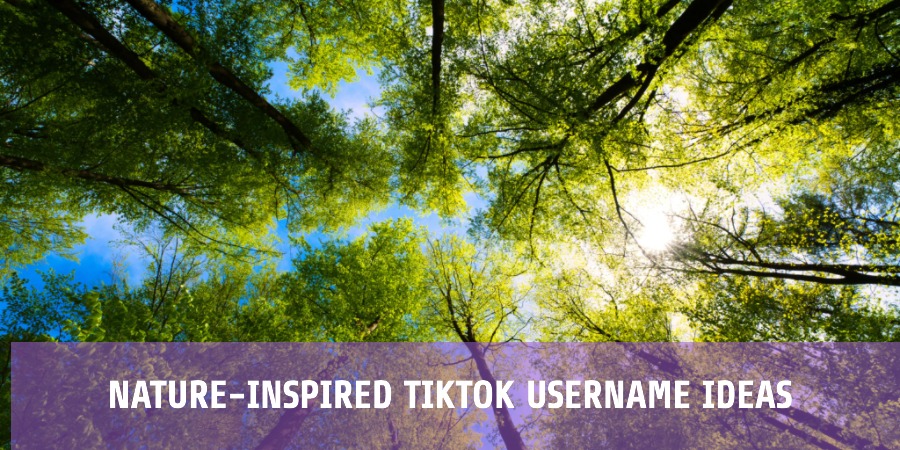 Nature-Inspired TikTok Username Ideas