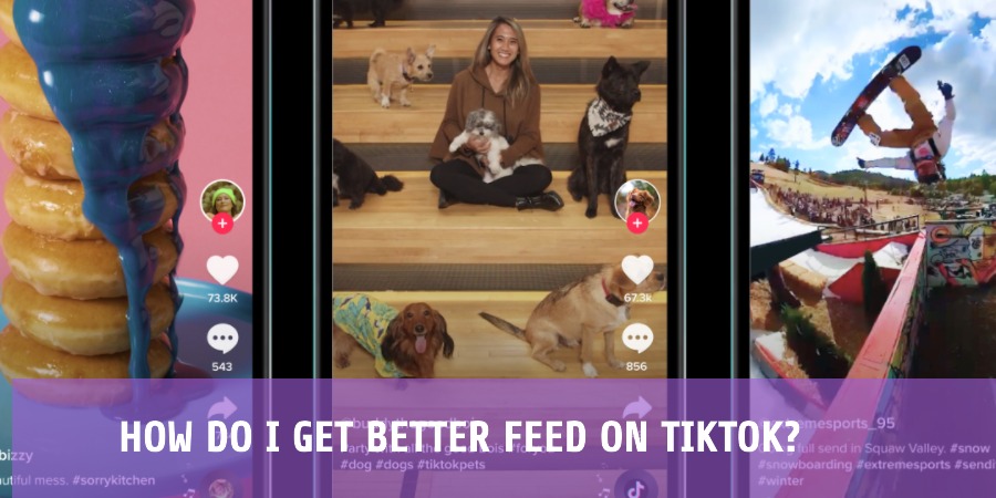 How do I Get Better Feed on TikTok
