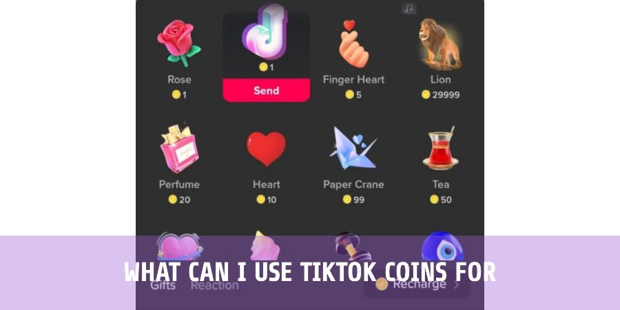 What Can I Use TikTok Coins For?